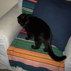 Meet your Posher, Darlene